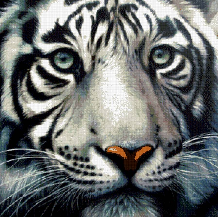 тигр - природа, тигры, животные - предпросмотр