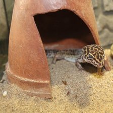 Схема вышивки «Ящерка»