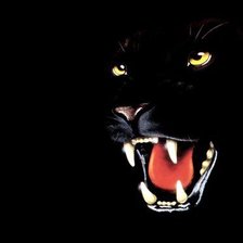 Схема вышивки «пантера»