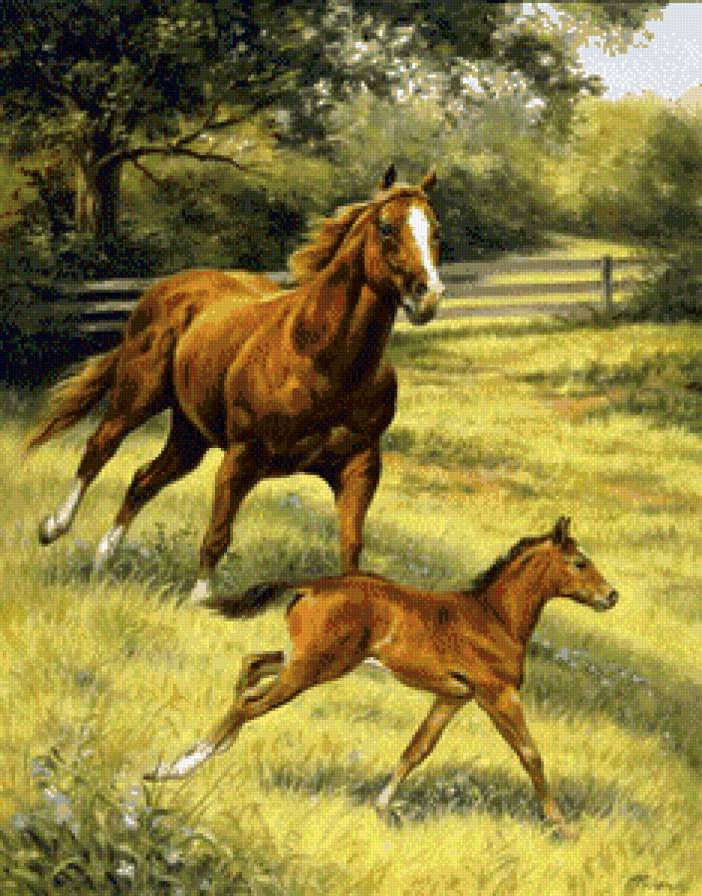 лошади - природа, лошади, животные - предпросмотр