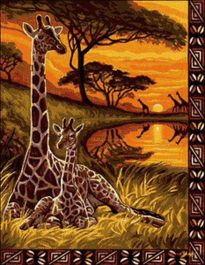 жирафы - предпросмотр