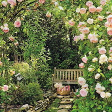 Схема вышивки «Розы»