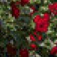 Предпросмотр схемы вышивки «Розы» (№553968)