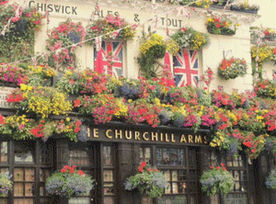 Британские розы - англия, розы, цветы - предпросмотр