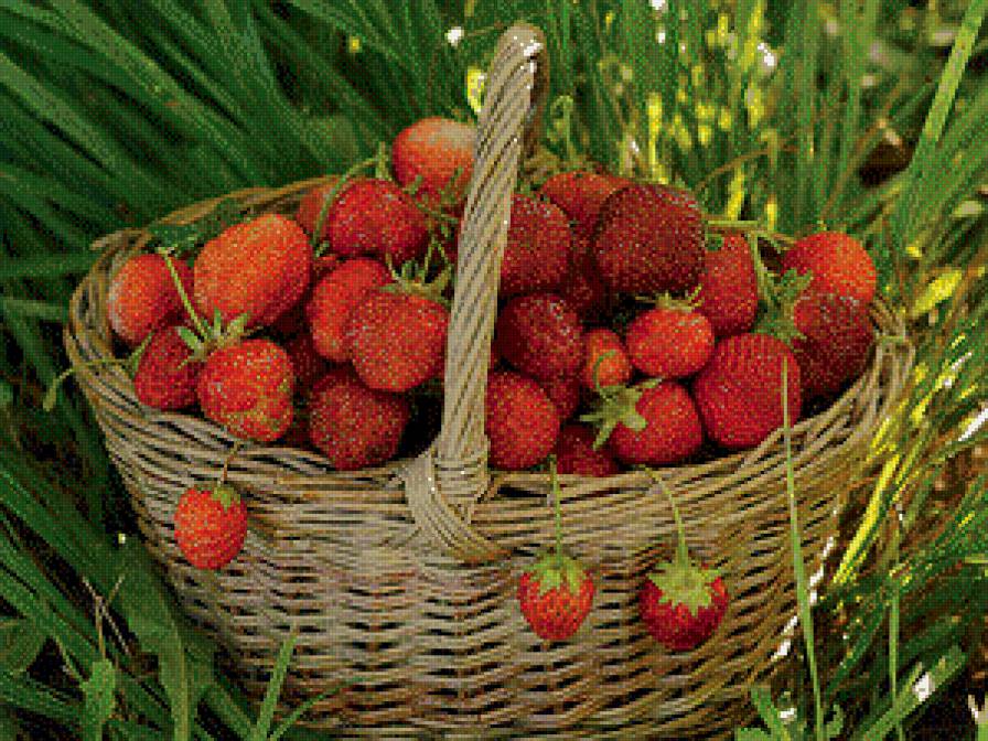 Вкусная клубника - природа, ягоды, натюрморт - предпросмотр
