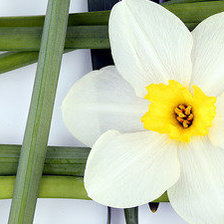 Схема вышивки «№554158»