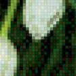 Предпросмотр схемы вышивки «белые тюльпаны» (№554166)