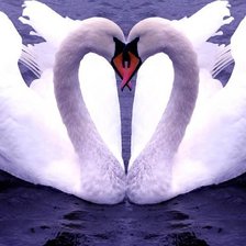 Схема вышивки «идеальная пара»