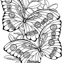 Схема вышивки «бабочки две  подушка»
