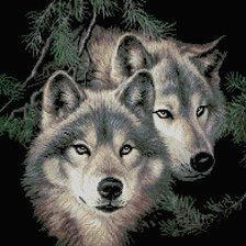Оригинал схемы вышивки «волки» (№554339)