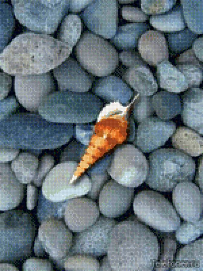 ракушка на камнях - предпросмотр