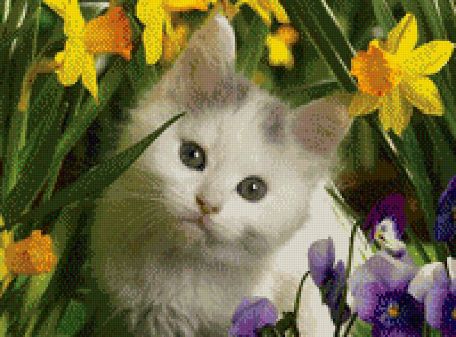 дух цветов - цветы, котята, животные - предпросмотр