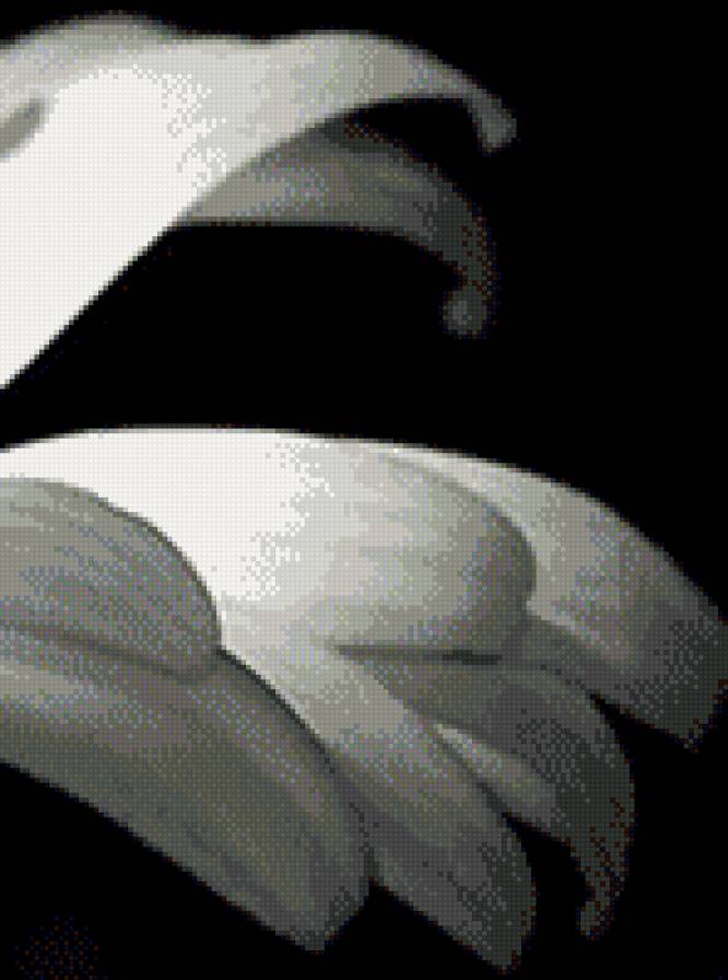 ромашка 1 - полиптих - предпросмотр