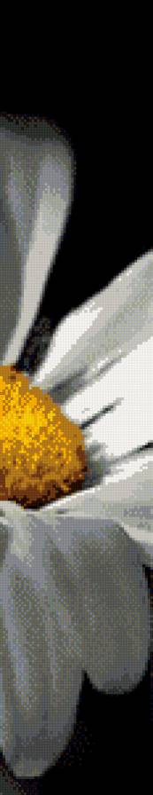 ромашка 2 - полиптих - предпросмотр