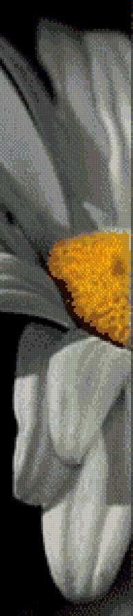 ромашка 3 - полиптих - предпросмотр