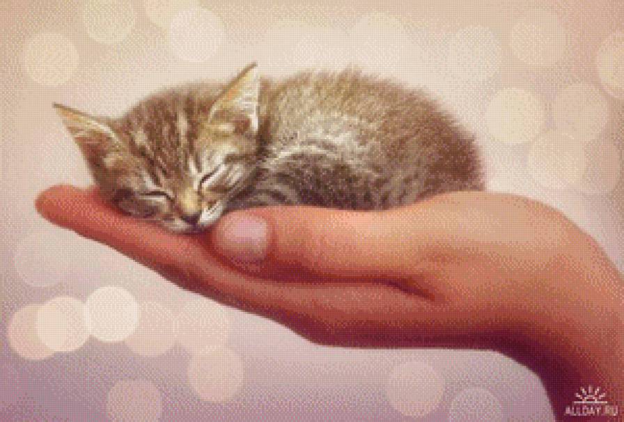 №554516 - предпросмотр