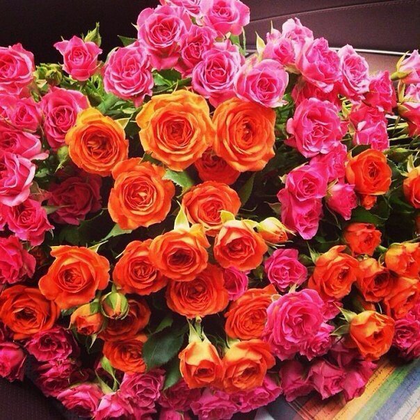 Цветочный рай - оригинал