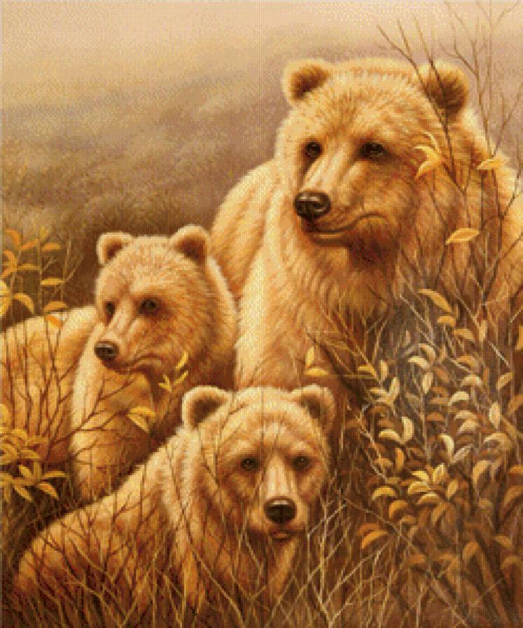 Мишки - животные - предпросмотр