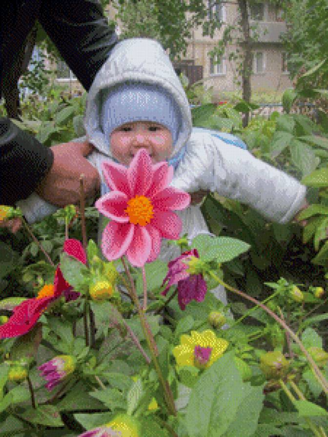 Миша - предпросмотр