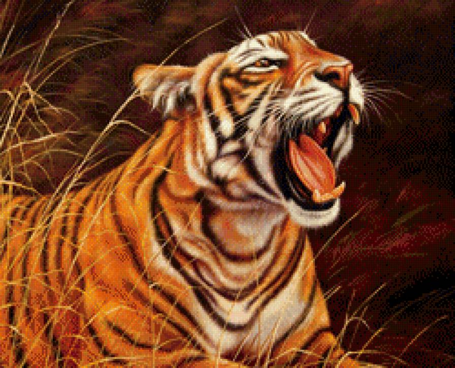 Тигр - животные - предпросмотр