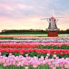 Схема вышивки «пейзаж с цветами»