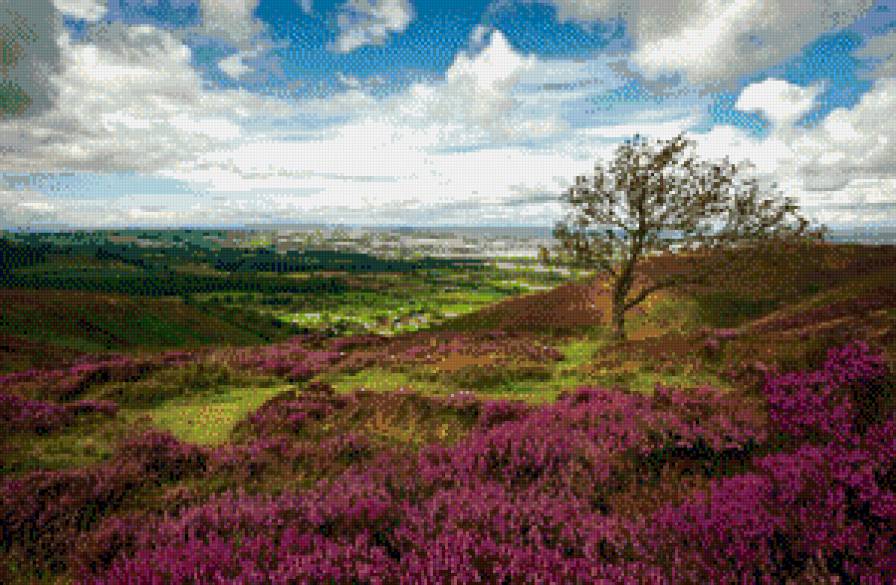 пейзаж с цветами - пейзаж цветы - предпросмотр