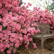 Схема вышивки «пейзаж с цветами»