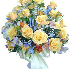 Схема вышивки «№554778»