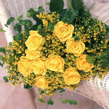 Оригинал схемы вышивки «№554779»