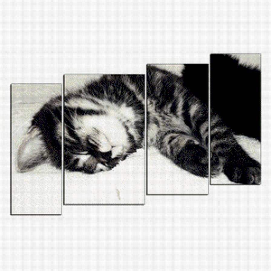 Спящий котенок - кошки, триптих, котенок - предпросмотр