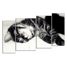 Оригинал схемы вышивки «Спящий котенок» (№554798)