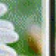 Предпросмотр схемы вышивки «№554799»