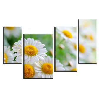 №554799 - триптих, ромашки - оригинал