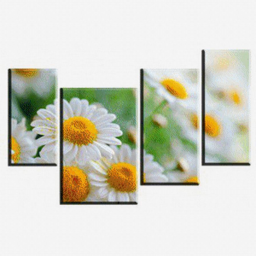 №554799 - ромашки, триптих - предпросмотр