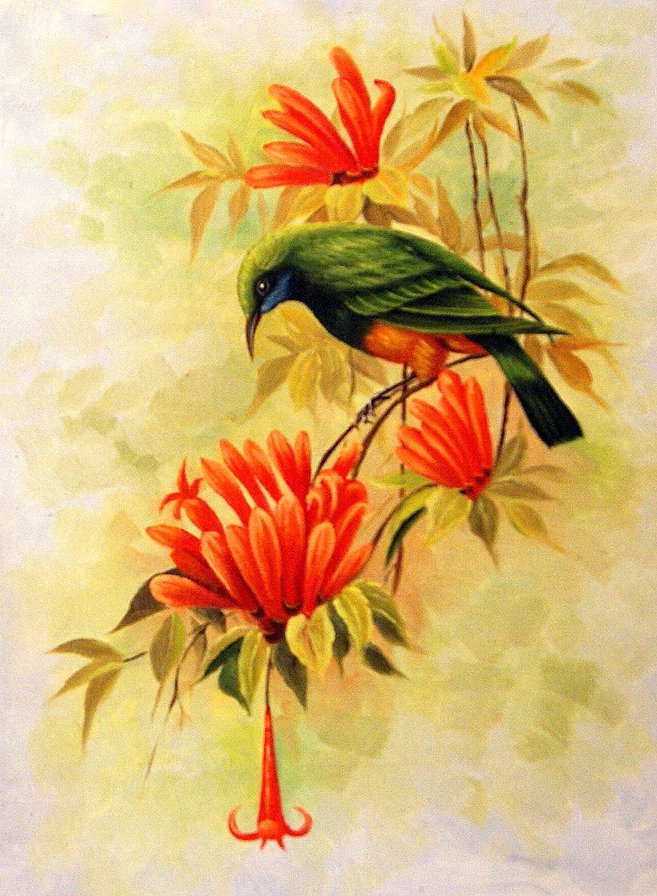 Птичка - животные - оригинал