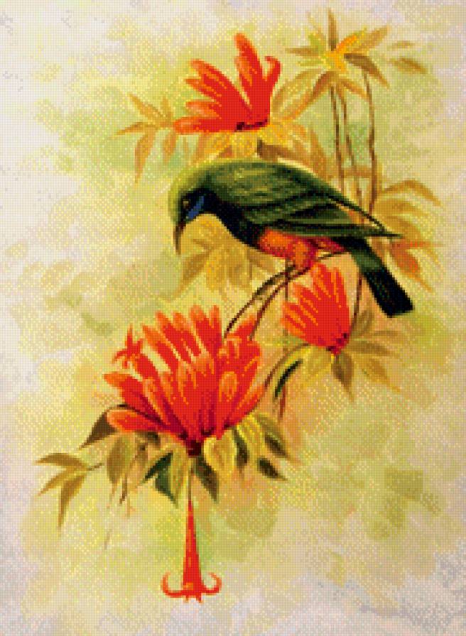 Птичка - животные - предпросмотр