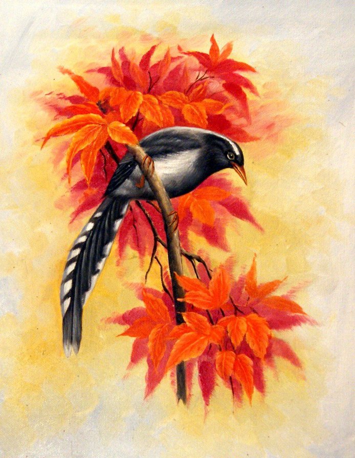 Птички - животные - оригинал