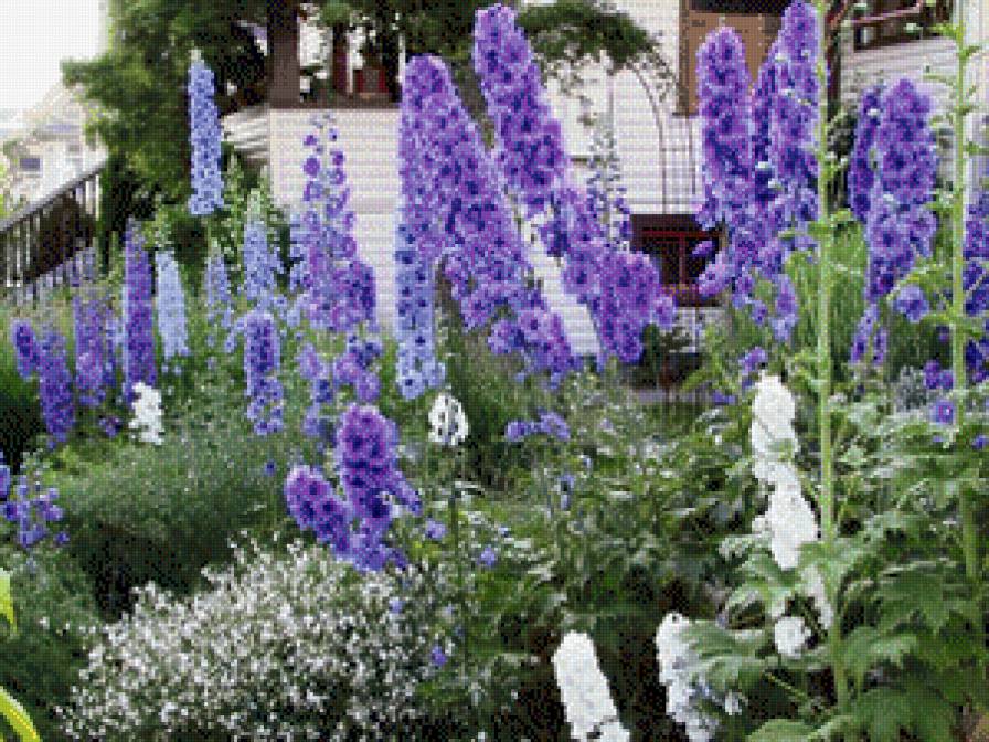 цветы у дома - цветы.дом - предпросмотр