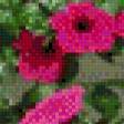 Предпросмотр схемы вышивки «цветы у дома» (№554927)