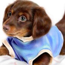 Щенок в синей рубашке