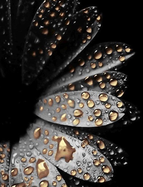 Цветок - оригинал