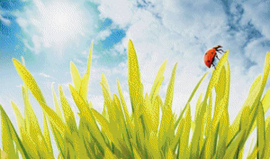 №555028 - предпросмотр