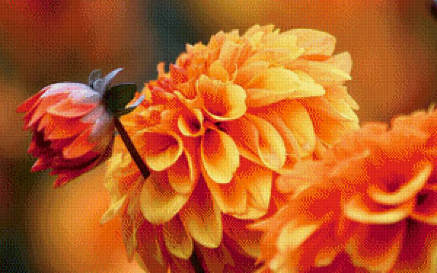 №555268 - предпросмотр