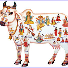 Оригинал схемы вышивки «Корова Сурабхи» (№555281)