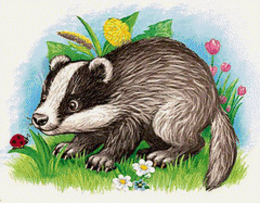 Барсук - детское, животные - предпросмотр