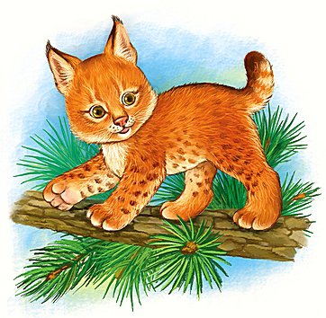 Рысенок - животные, детское - оригинал