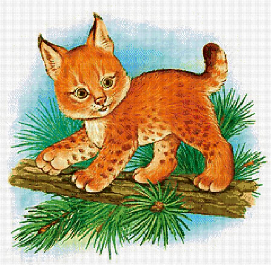 Рысенок - животные, детское - предпросмотр