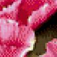 Предпросмотр схемы вышивки «розовые цветы» (№555332)