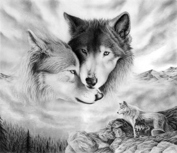 коллекция "волки" - оригинал