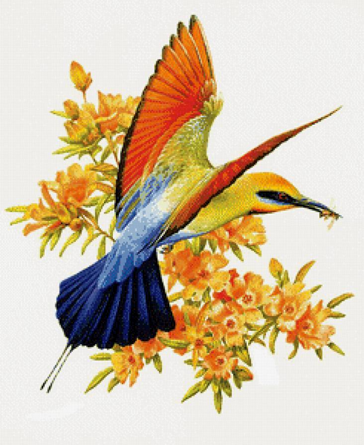 зимородок - цветы, пейзаж, зимородок, птицы, природа - предпросмотр